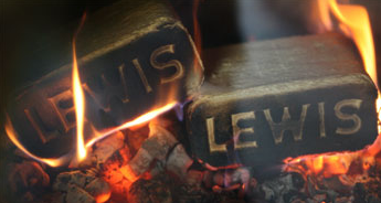 Fiber Fuel Bricks
